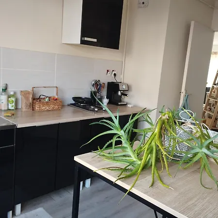 Apartment Entier Avec Terrasse